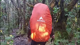 #mandalawangi #gununggedepangrango  "Sinematik Gunung Pangrango 3019 MDPL lembah kasih Mandalawangi"