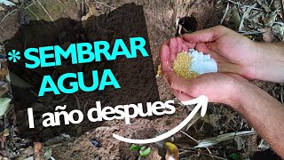 💧COMO SEMBRAR AGUA [parte 2] Resultados 1 año después!