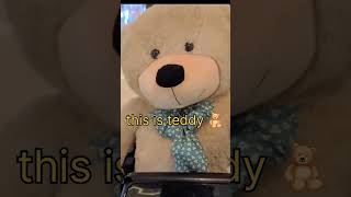 This is teddy teddy says Hi  trending short👋  #viral #viralvideo #youtubeshorts