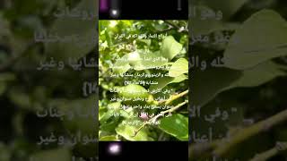 ذكر الفواكه في القران الكريم