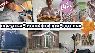 VLOG: Сдаем АНАЛИЗЫ/Наши ПЛАНЫ на ДОМ/Порядок В ГАРАЖЕ/Купила БУТЫЛОЧКУ dr brown's/кто ЕСТ ВЫПЕЧКУ