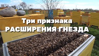 Три признака расширения гнезда