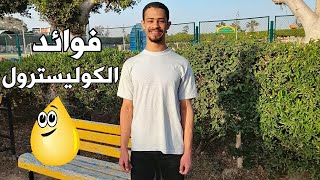 هل فعلا الكوليسترول في الأكل هو السبب الرئيسي لأمراض القلب؟|فوائد الكوليسترول