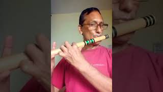 Peetal ki mori gagri deli se mol mangai re# hindi#flute dhun#shorts