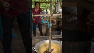 How to make sugar from palm trees. #streetfood #thailandstreetfood #thaistreetfood #shortsvideo