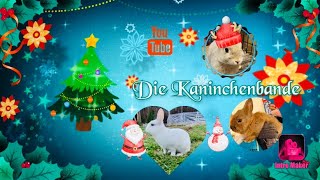 Dezember Adventskalender NR.5 🎄☃️/Kaninchenbande