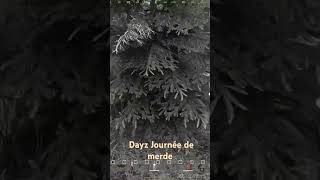 Dayz journée de merde