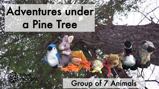 Adventures Under a Pine Tree | Group of 7 Animals | Hide and Seek