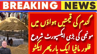 Today Wheat price in punjab/گندم کا ریٹ 2024/munji makki | مونجی کی آج کی قیمتیں