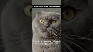 Canine Parvovirus (CPV) Treatment