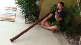 "MG804" Agave Didgeridoo by Myke Gomezmaicas