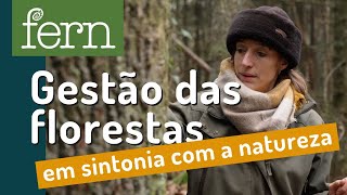 Gestão de florestas para o futuro: os benefícios da gestão florestal próxima da natureza