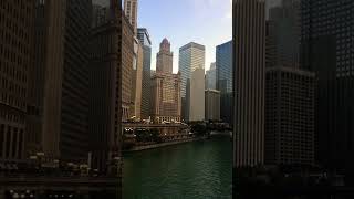 Chicago beautiful view #shorts