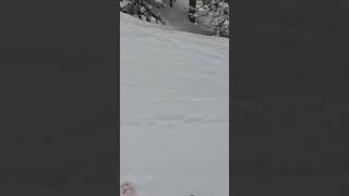 Hitting cliffs at solitude #shorts #funny #fyp #sick #tricks #snow #solitude #youtubeshorts #cliff