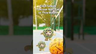 Sepak Takraw Ball Cat Finding Challenge