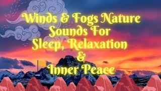 Mountain Wind Sound Effect | Sound of Wind | Wind Sounds for Sleep | Blizzard Sounds for Sleeping