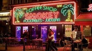 Coffeeshops in Amsterdam - Tips You Must Know