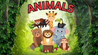 Animals For Kids| Farm Animals