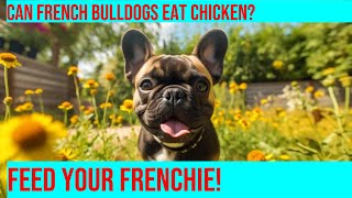 Can French Bulldogs Eat Chicken? The Complete Guide