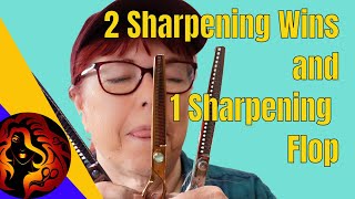 Sharpening 3 Groomer Texturizers on a Flathone Sharpening System | Bonika Shears