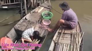 Liên khúc quê hương   Dương Ngọc Thái ft Hương Lan