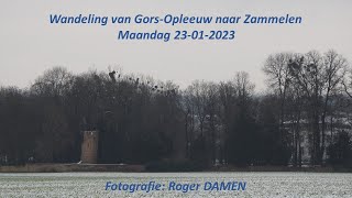 Gors-Opleeuw