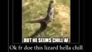 chill ass lizard