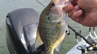 J. Percy Priest Lake  Crankbait Crappie   with CaptainCrappie and friends