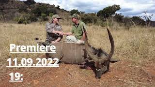 Bowhunting in South Africa with Carlo Engelbrecht Safaris Trailer