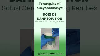 ROJE DS - Damp Solution - Solusi Cerdas Dinding Rembes #shorts