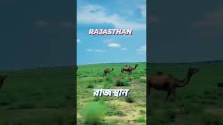 # Rajasthan India # Tur # The Camel # Vlog #