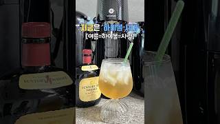 🫧톡쏘는 신선한 하이볼!🍻 싸게 즐기는 방법! #shorts#하이볼#소다스트림