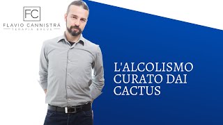 L'alcolismo curato dai cactus