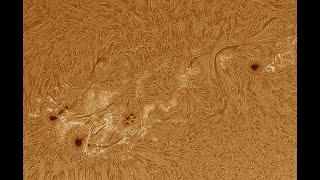 2022-04-23 Solar AR2993 AR2994