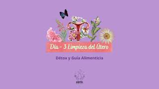 🔻 DIA 3: Programa de 7 Días para Limpiar y Sanar el Útero / Alimentos para desintoxicar el cuerpo