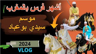 تلاقيت🐴 أشهر عود فالمغرب 🇲🇦فموسم سيدي بوعباد🔥