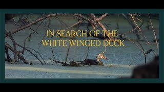 In Search of the White Winged Duck : A Talk with Vivek Menon