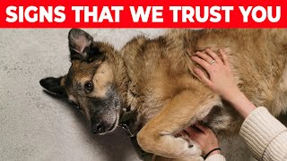 Bonded by Trust: How Your Dog Shows They Rely on You