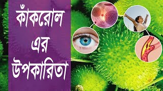 জেনে নিন কাঁকরোল খাওয়ার অবিশ্বাস্য ৯টি উপকারিতা | পুষ্টিগুণে ভরা কাঁকরোল খাওয়ার উপকারিতা