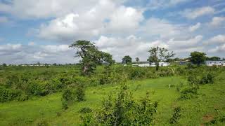 MAVUENI KILIFI 50 by 100 (1/8) acre plot's only 80 meter's off Mavueni Mariakani by-pass road (1)