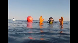 Dive Guernsey - Wreck of the Rouen 9-7-18