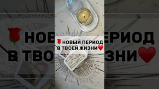 🌹Вот это НОВОСТИ о мужчине‼️ ОН ХОЧЕТ ИГРАТЬ ‼️ А нужно ли это вам? Пообщаемся в личном раскладе