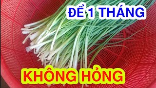 #18 Bảo quản hành theo cách này ngạc nhiên sau 1 tháng