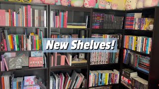 I Got 2 New Shelves To Reorganize My Kpop Album Collection + A Shelf Tour | April 2023