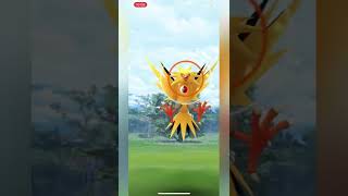 Shiny ✨ Zapdos ⚡️ From GBL 🥊 In PokemonGO #shorts