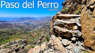 PASO del PERRO (mayo 2021) #GranCanaria #RiscoBlanco #Rompeserones