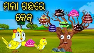 Mala Gachare Cake | Odia Cartoon |Odia Bird Stories|Odia Chadhei Gapa| Odia Moral Story| Odia Gapa