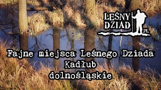 Fajne miejsca Leśnego Dziada - Kadłub - dolnośląskie