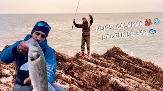 Pêcher en bord de mer sous la neige 😍 ( Calamar et dernier bar de la saison )