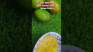 টক ঝাল মিষ্টি আমের চাটনি 🥭🤤 Mango Pickle Recipe #shorts #viral #tranding #youtubeshorts